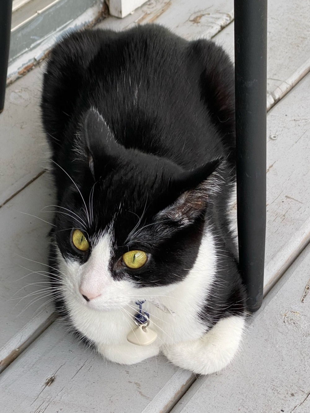 Meet your Posher ❤️